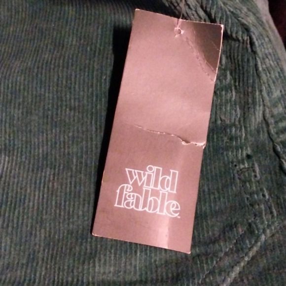 Wild Fable Women's  Button-Front Corduroy Mini A-Line Teal  Skirt NWT Size 2 - Picture 8 of 10